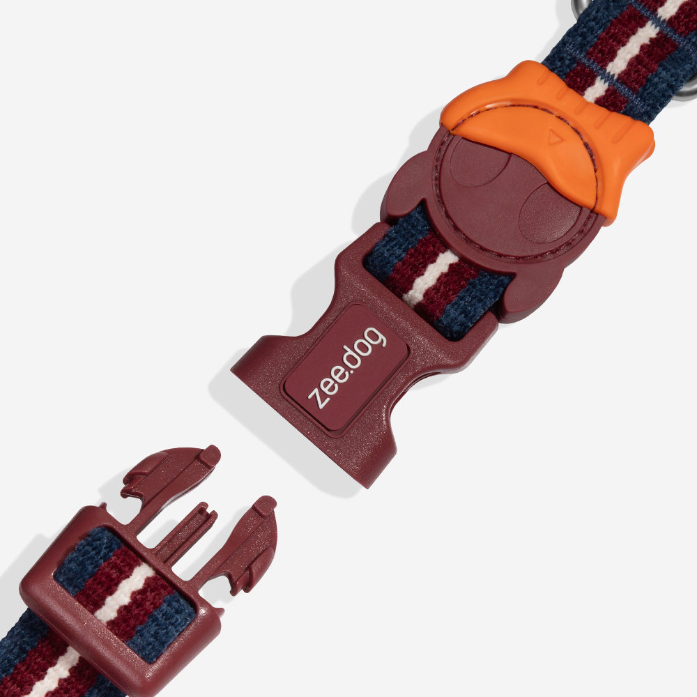 Coleira para Cachorros Velvet Vibes Dropout | Imagem 2