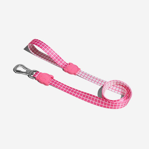 Guia para Cachorros Pink Wave PP