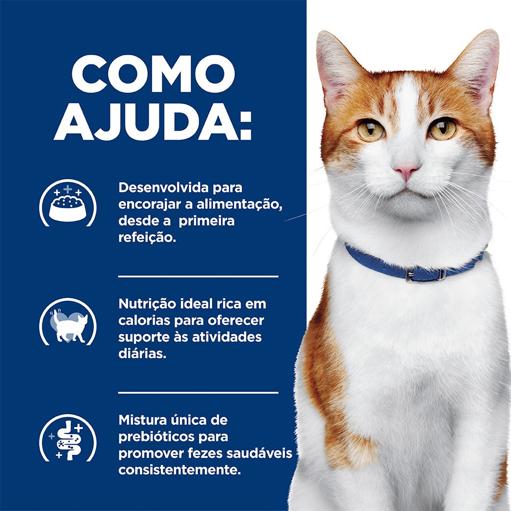 Ração Ùmida Hill's Prescription Diet ONC Care Cuidado Oncológico para Gatos