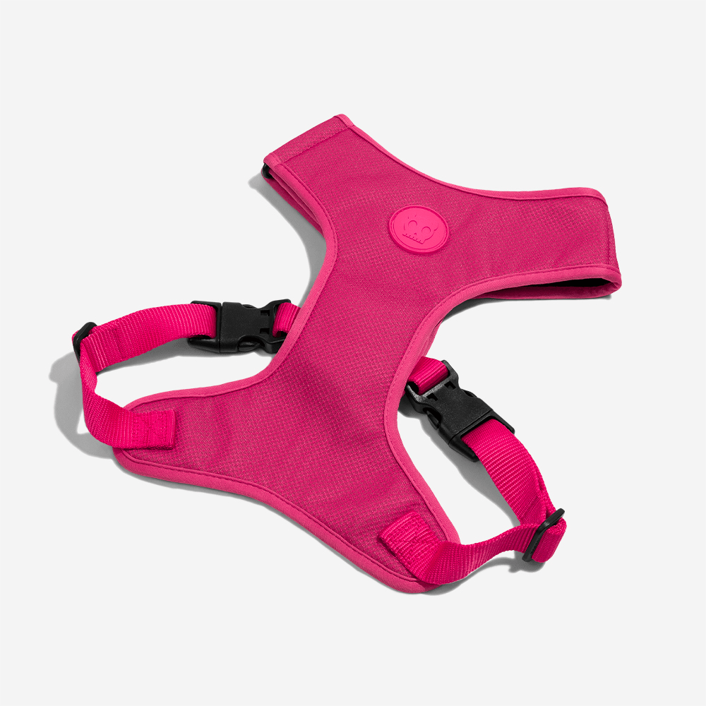 Peitoral para Cachorros Air Mesh Ajustável Pink Led | Imagem 5