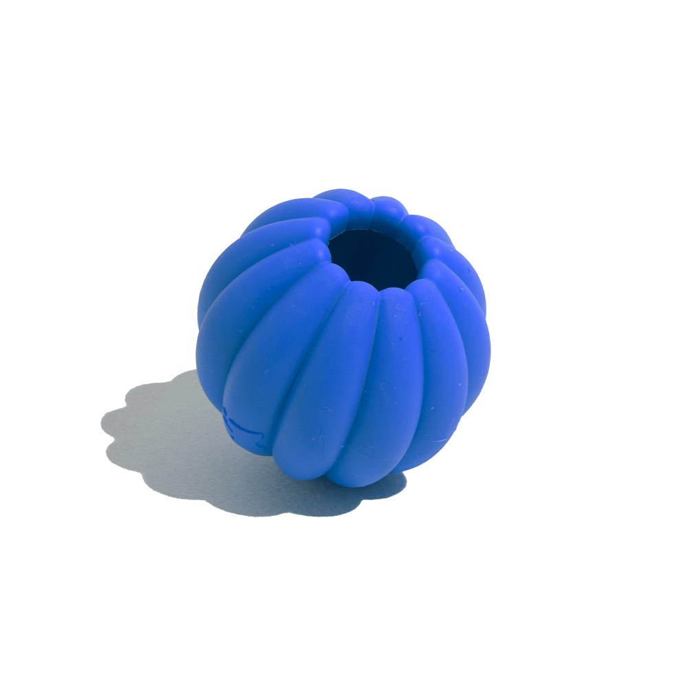 Brinquedo para Cachorros Tangerina Azul 