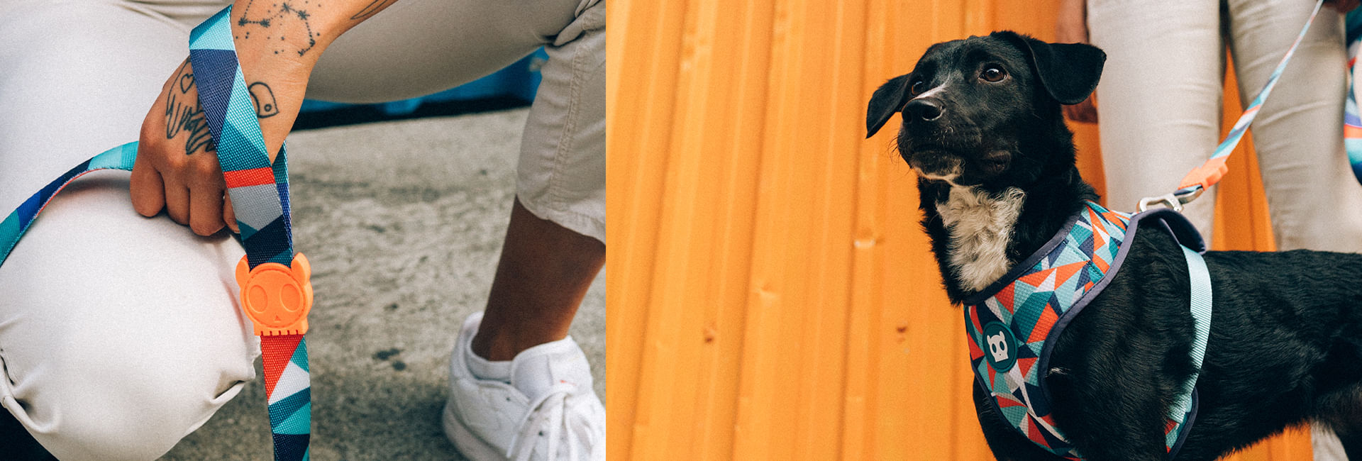 Peitoral para Cachorros Air Mesh Ella | Lifestyle Images