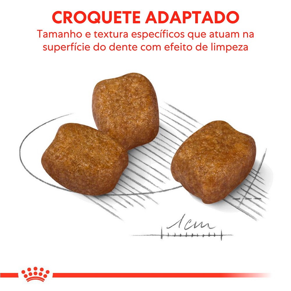 Ração Royal Canin Cuidado Dental Mini para Cães Adultos de Porte Pequeno