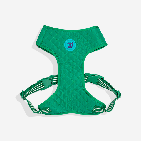 Peitoral para Cachorros Air Mesh Ajustável Velvet Vibes Vert | Zee.Dog
