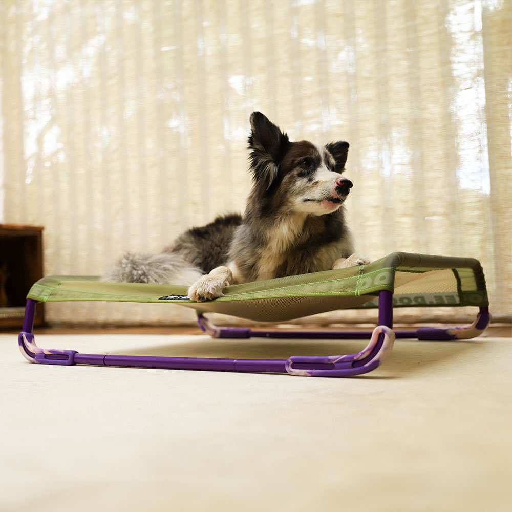 Cama para Cachorros Air.Bed Verde
