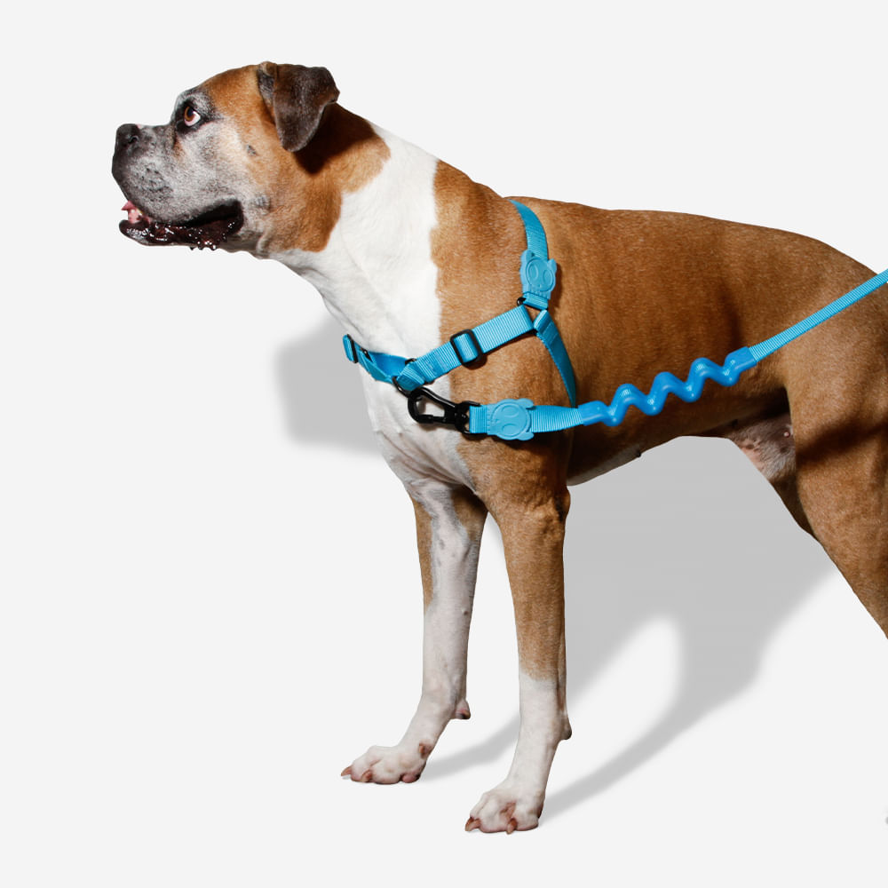 Peitoral para Cachorros Antipuxão Ultimate Blue | Imagem 2