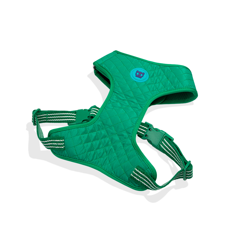 Peitoral para Cachorros Air Mesh Ajustável Velvet Vibes Vert