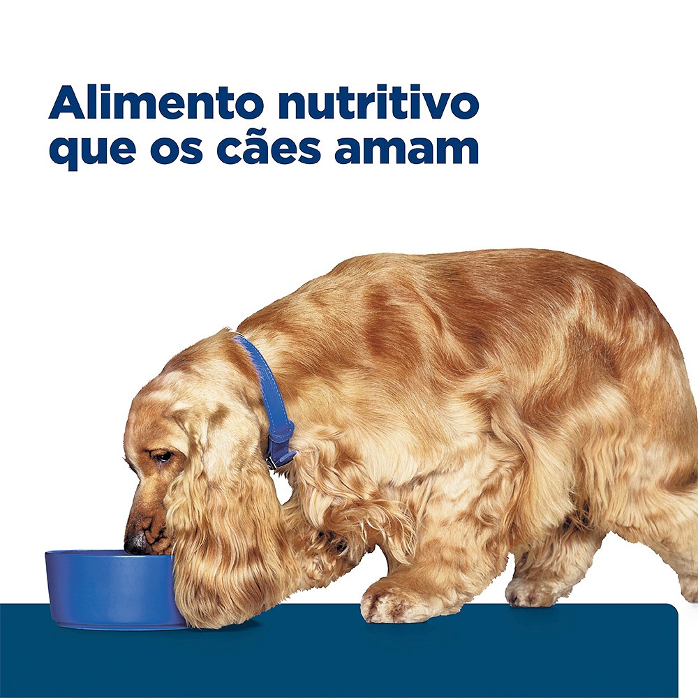 Ração Hill's Prescription Diet Z/D para Cães Adultos - Alergia ou Intolerância Alimentar 