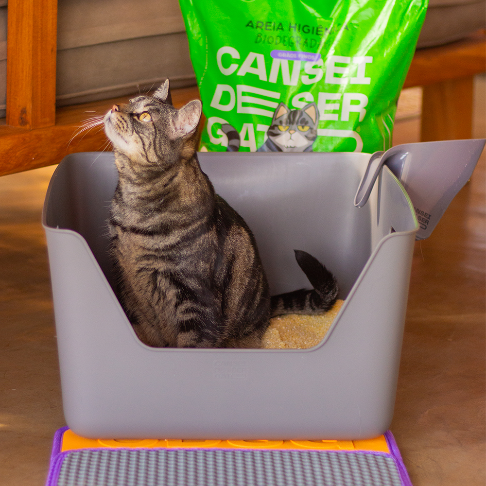 Areia Higiênica Biodegradável Cansei de Ser Gato Grãos Finos | Imagem 4