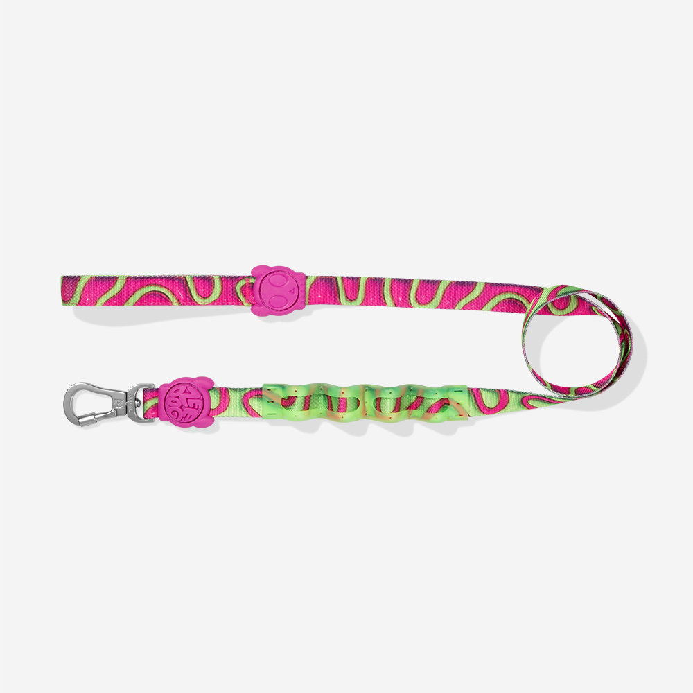 Guia com Amortecedor para Cachorros H3D Jelly | Imagem 2