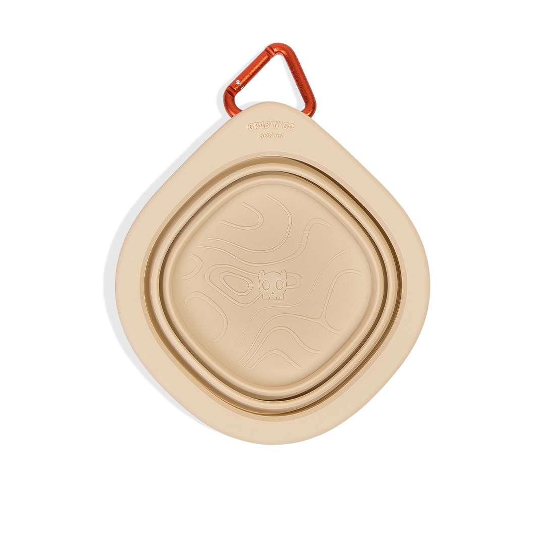 Comedouro para Cachorros Go Bowl Biscotti