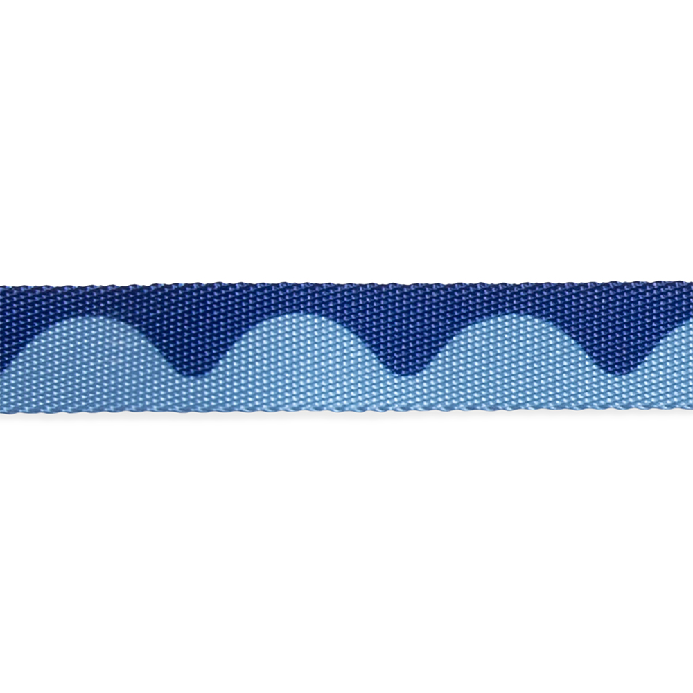 Coleira para Cachorros Swell