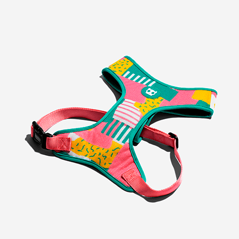 Peitoral para Cachorros Air Mesh Salina | Zee.Dog