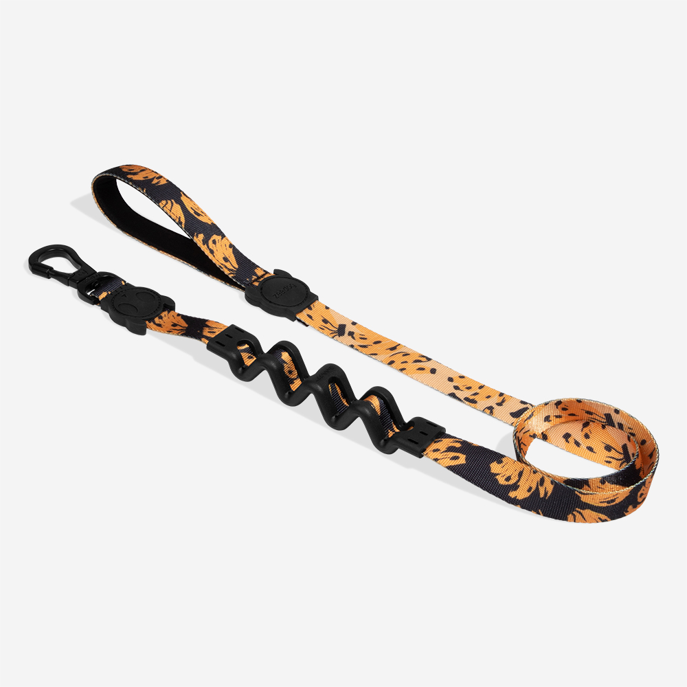 Guia com Amortecedor para Cachorros FARM Rio Bossa Banana | Imagem 0