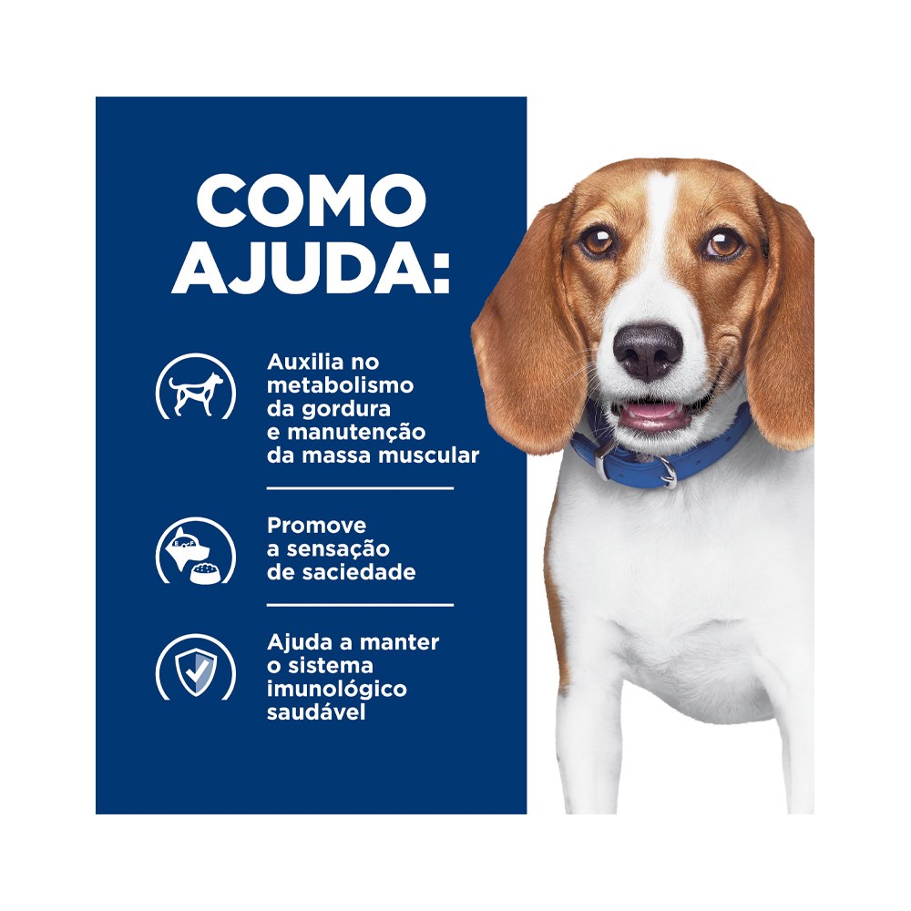 Ração Hill's Prescription Diet R/D para Cães Adultos - Redução de Peso