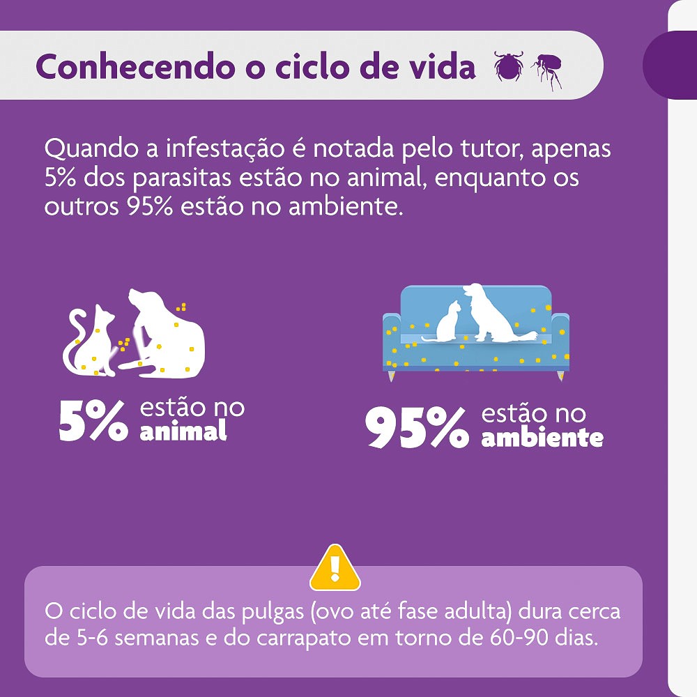 Antipulgas e Carrapatos Bravecto para Cães de 4,5kg a 10kg - 250mg