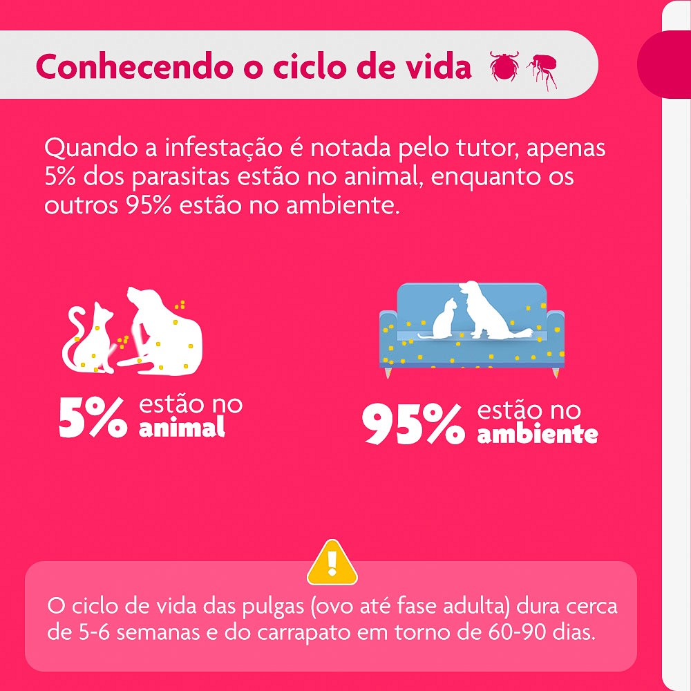 Antipulgas e Carrapatos Bravecto Transdermal para Cães de 10kg a 20kg - 500mg