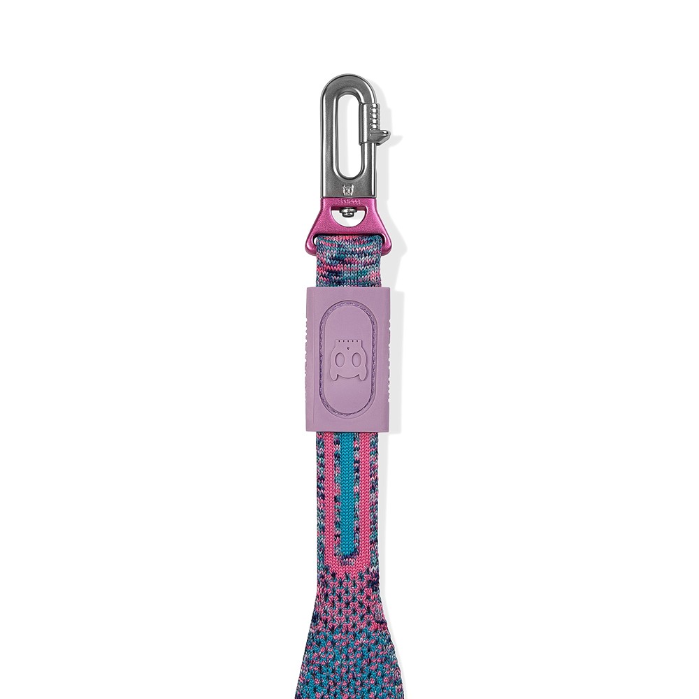 Guia para Cachorros NitLeash Candy