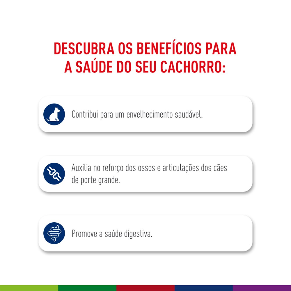 Ração Seca Royal Canin Maxi Ageing 8+ para Cães Idosos de Porte Grande com 8 Anos ou mais