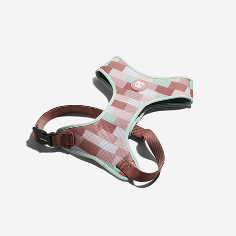 Peitoral para Cachorros Air Mesh Laguna | Zee.Dog