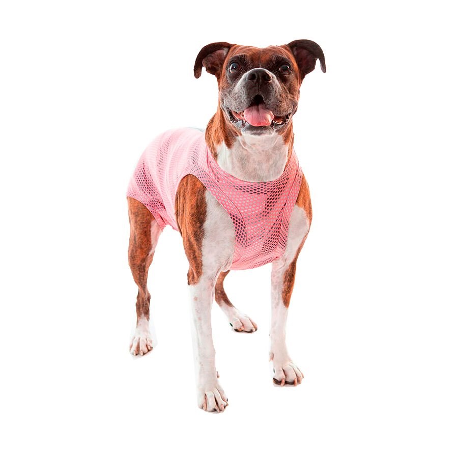 Roupa Cirúrgica Pet Med Ultra Light Regular Ball Rosa para Cães