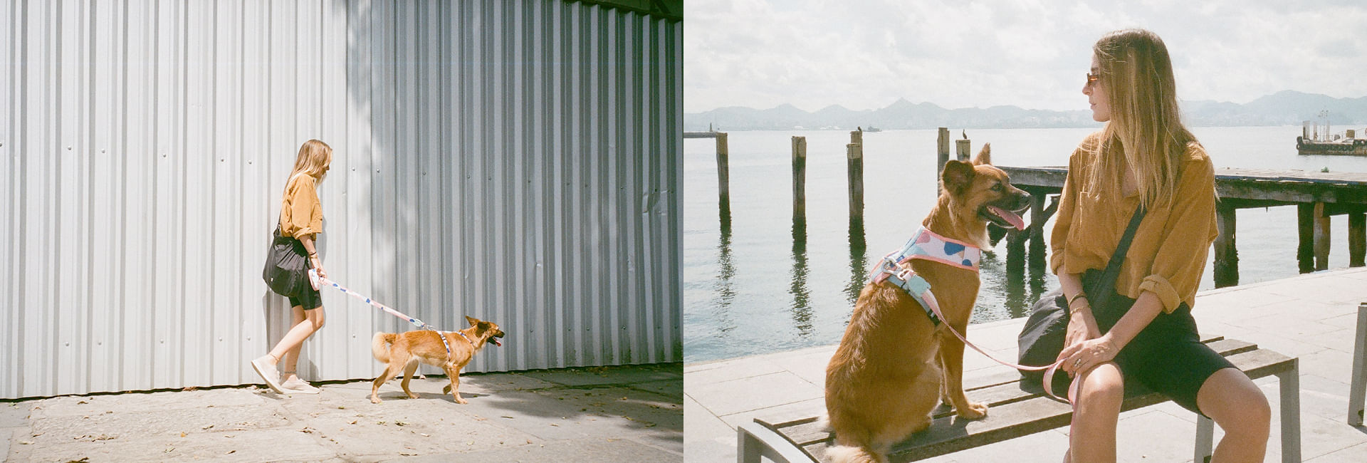 Peitoral para Cachorros H Columbia | Lifestyle Images