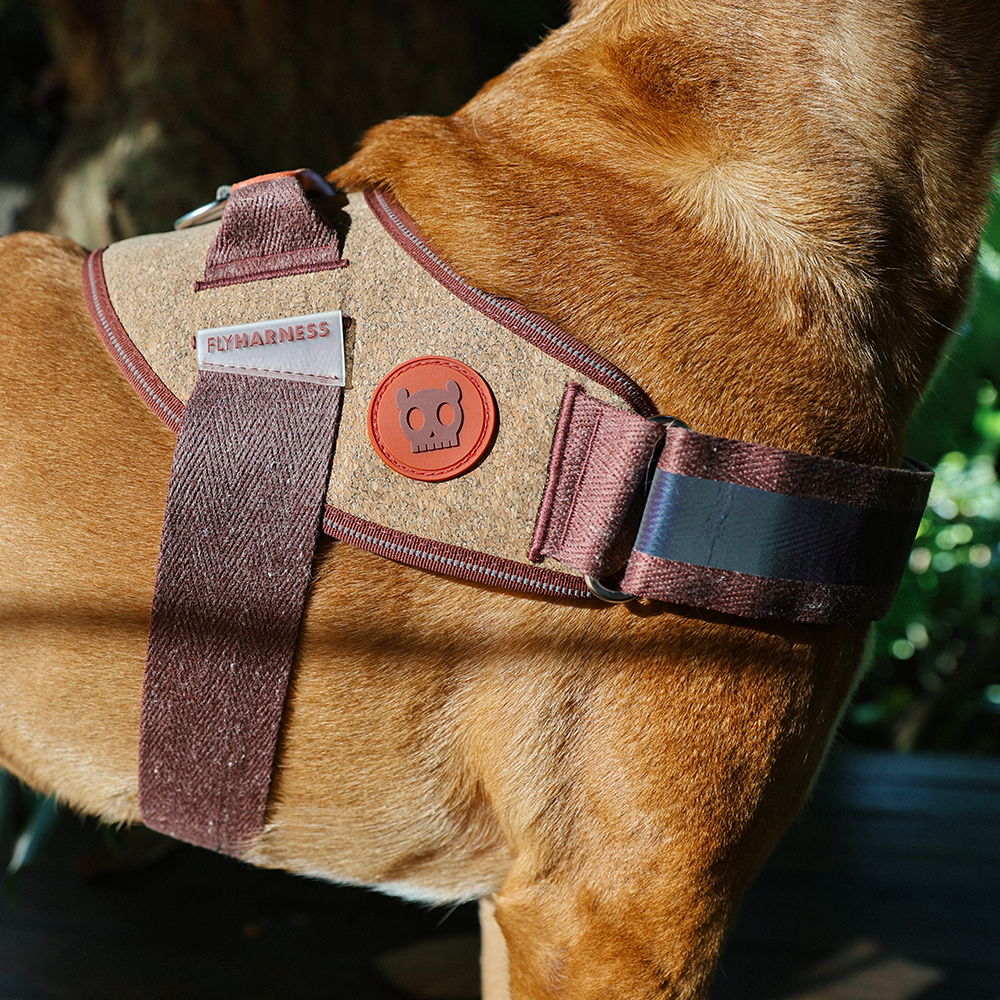 Peitoral para Cachorros FlyHarness Naturals Cocoa | Imagem 5