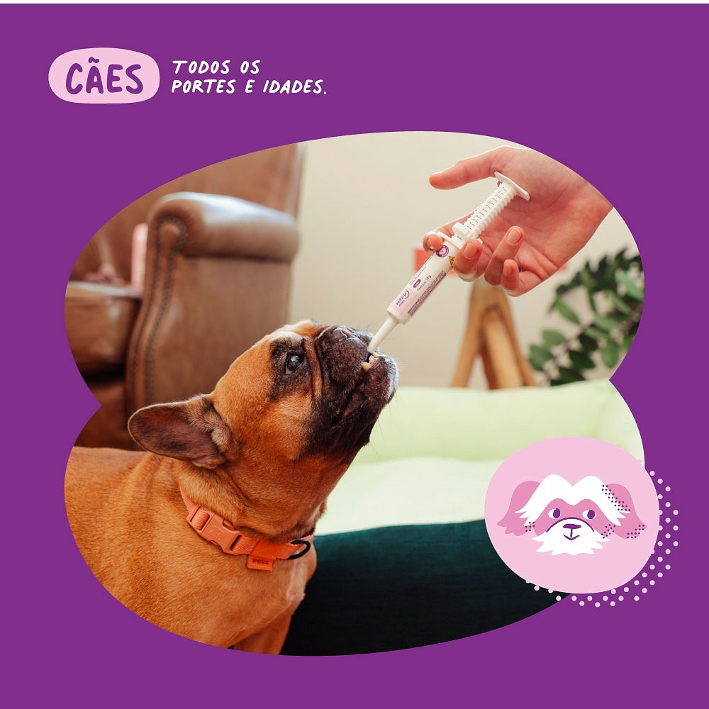 Suplemento Vitamínico com Probiótico Happy Flora para Cães
