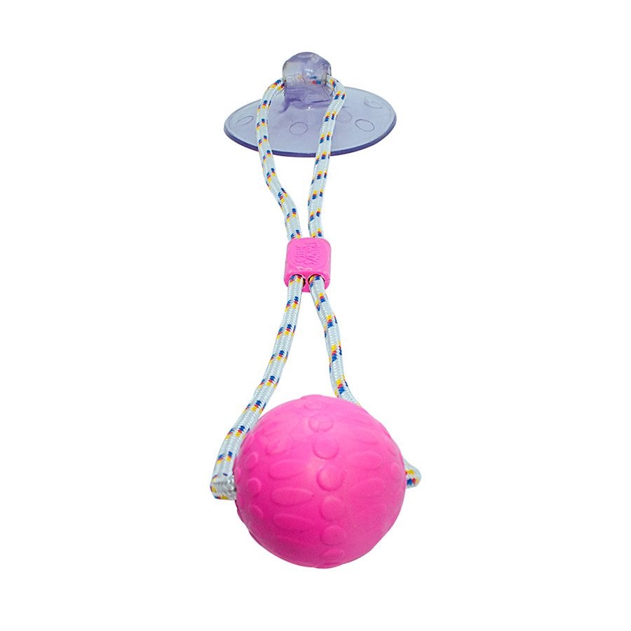 Brinquedo Truqys Push Ball Pet Rosa