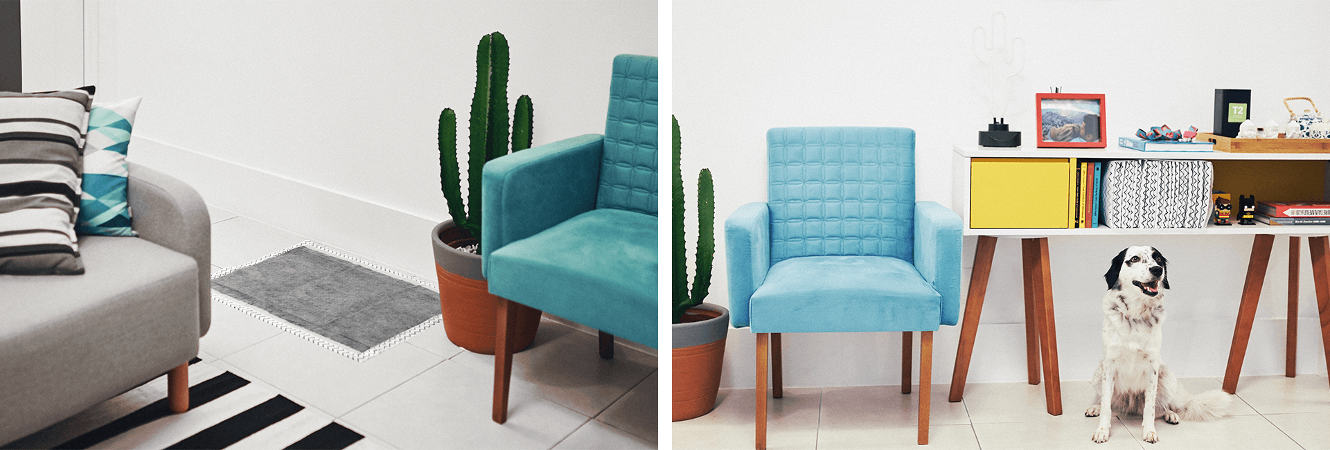 Tapete Higiênico para Cachorros Zee.Pad - 5 unidades | Lifestyle Images