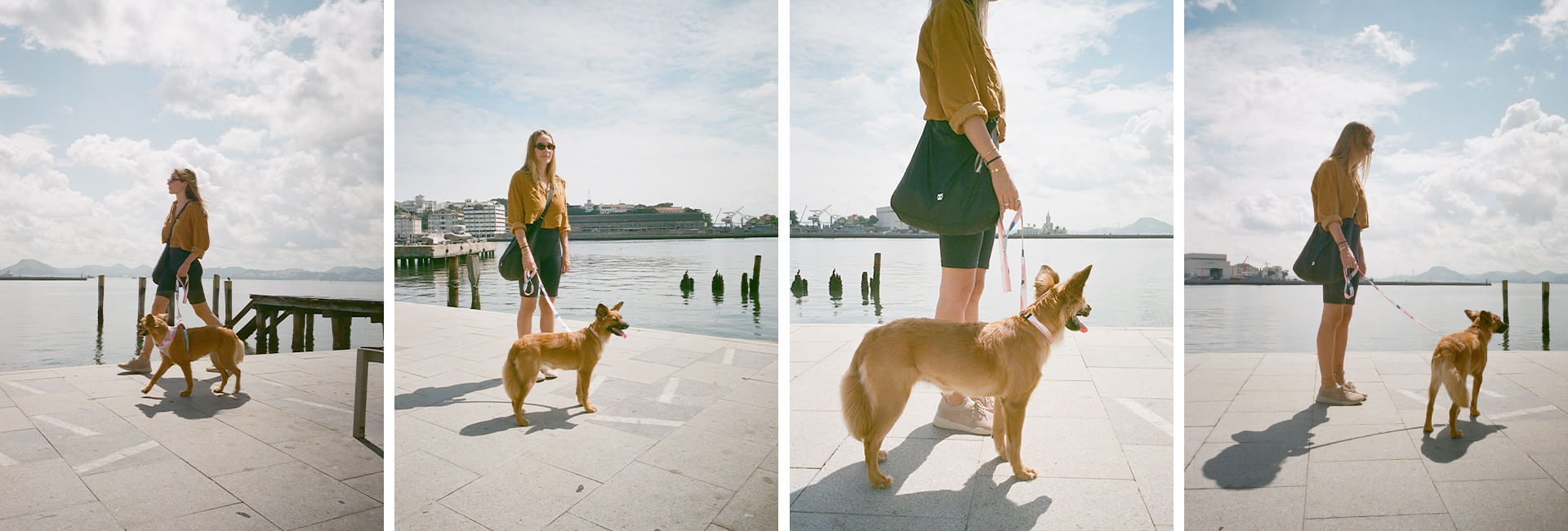 Peitoral para Cachorros H Columbia | Lifestyle Images