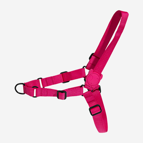 Pink Led