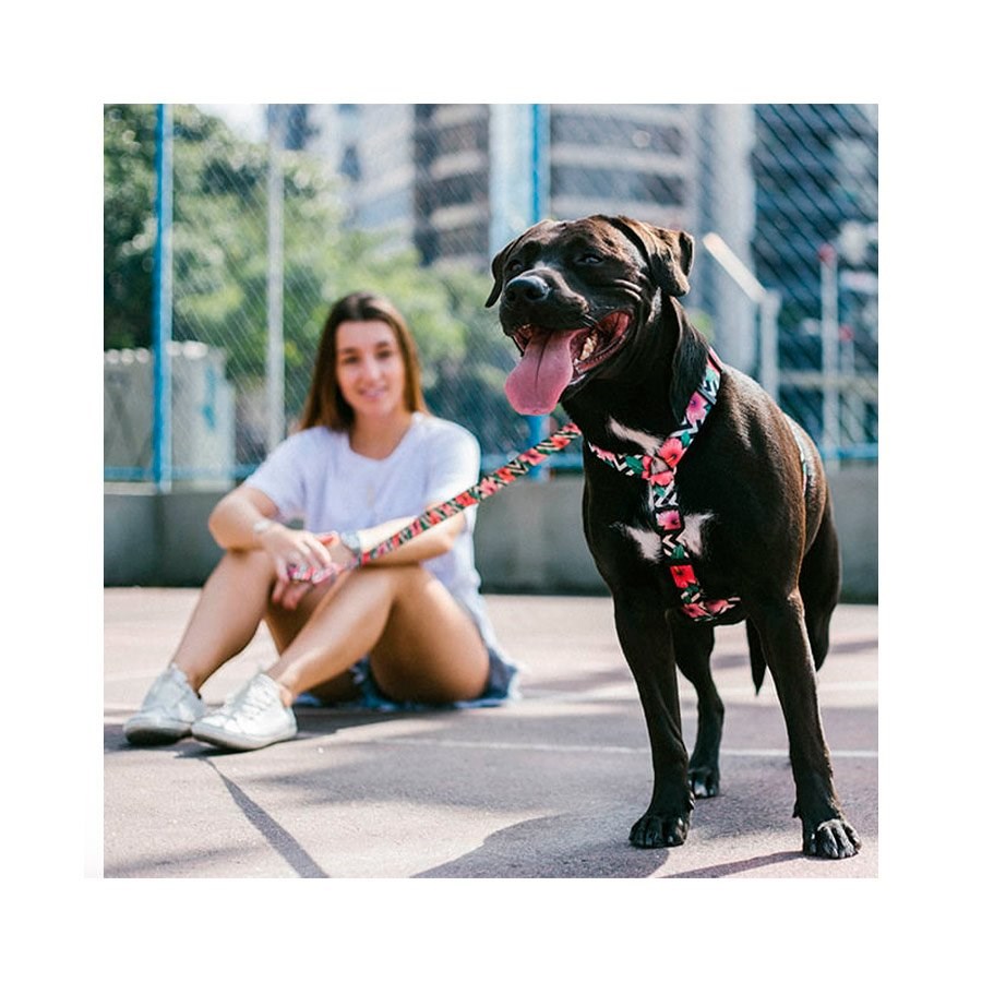 Peitoral H para Cachorros Mahalo