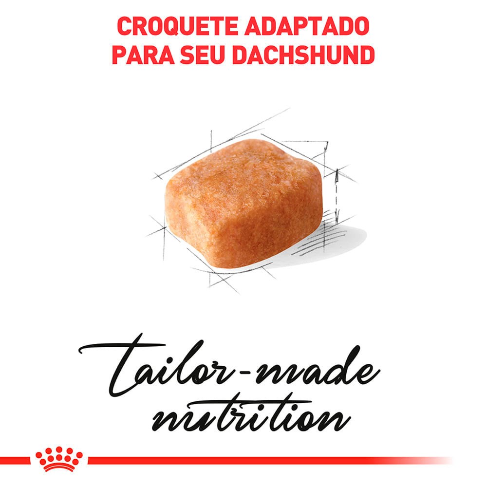 Ração Royal Canin Daschshund para Cães Adultos