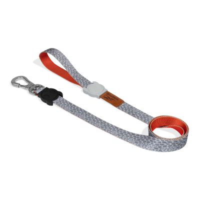 Guia para Cachorros Reebok Suede G