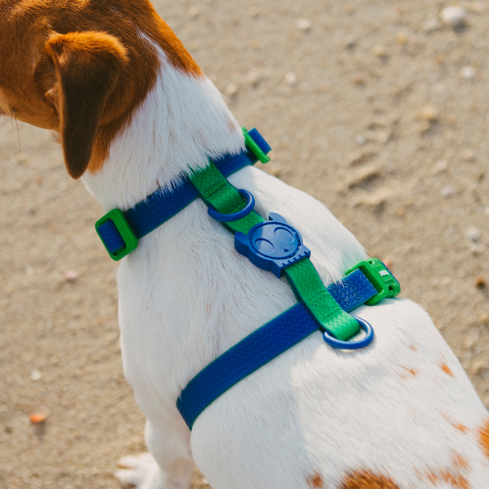 Peitoral para Cachorros H Neopro Apex