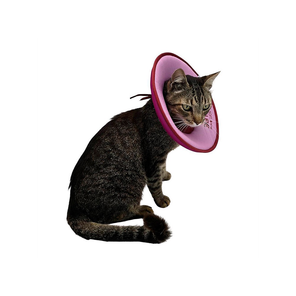 Colar Elisabetano Pet Med Ultraleve Soft Rosa e Bordô para Gatos