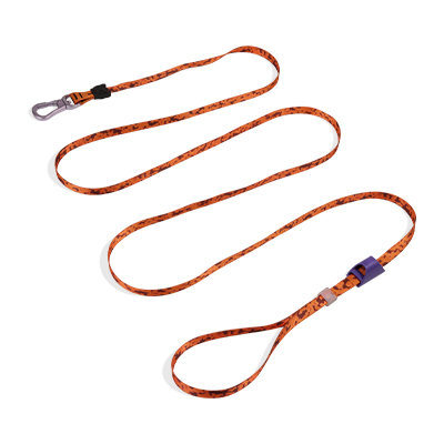 Guia Longa para Cachorros Leopard