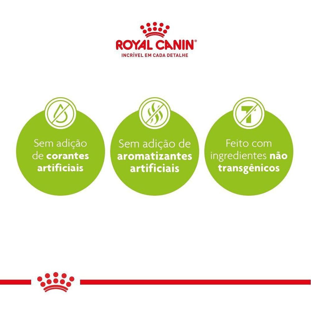 Ração Royal Canin Puppy para Cães Filhotes da Raça Golden Retriever