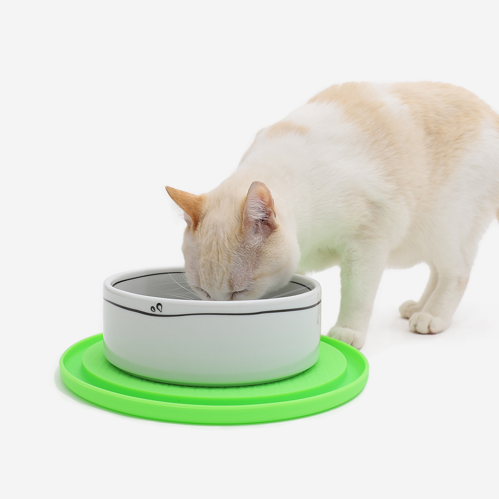 Jogo Americano Antiformiga Cansei de Ser Gato - Verde | Imagem 1