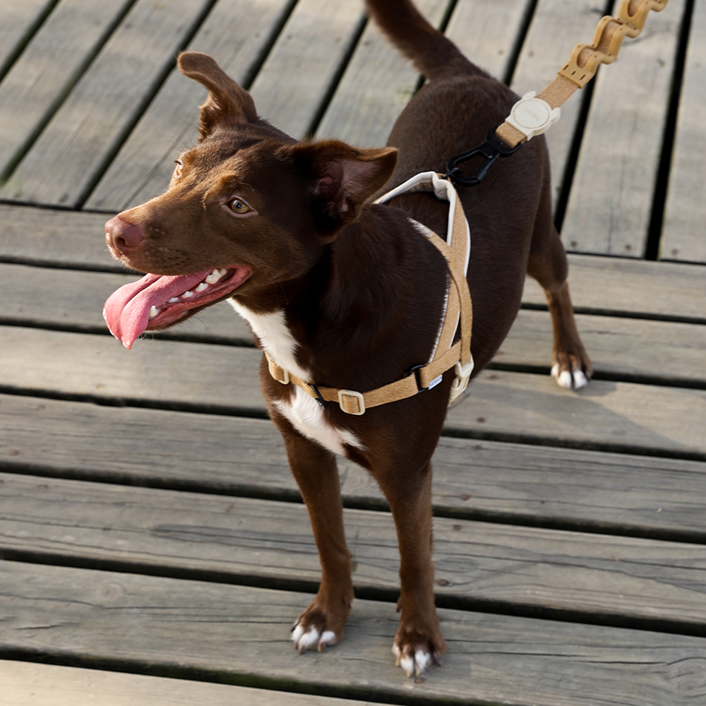 Peitoral Antipuxão SofterWalk para Cachorros Dune Naturals 