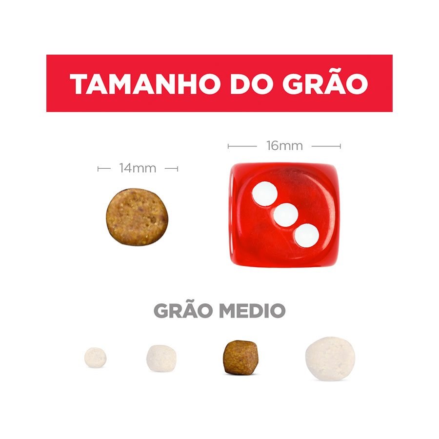 Ração Hill's Science Diet para Cães Adultos