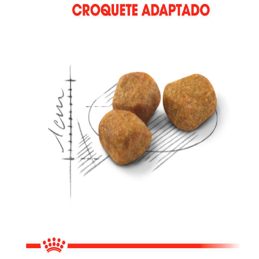 Ração Royal Canin Indoor para Gatos Adultos a partir de 7 anos de idade