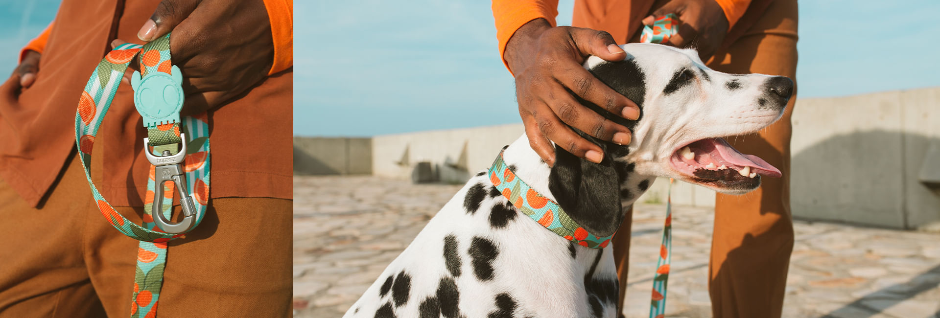 Coleira para Cachorros Florida | Lifestyle Images