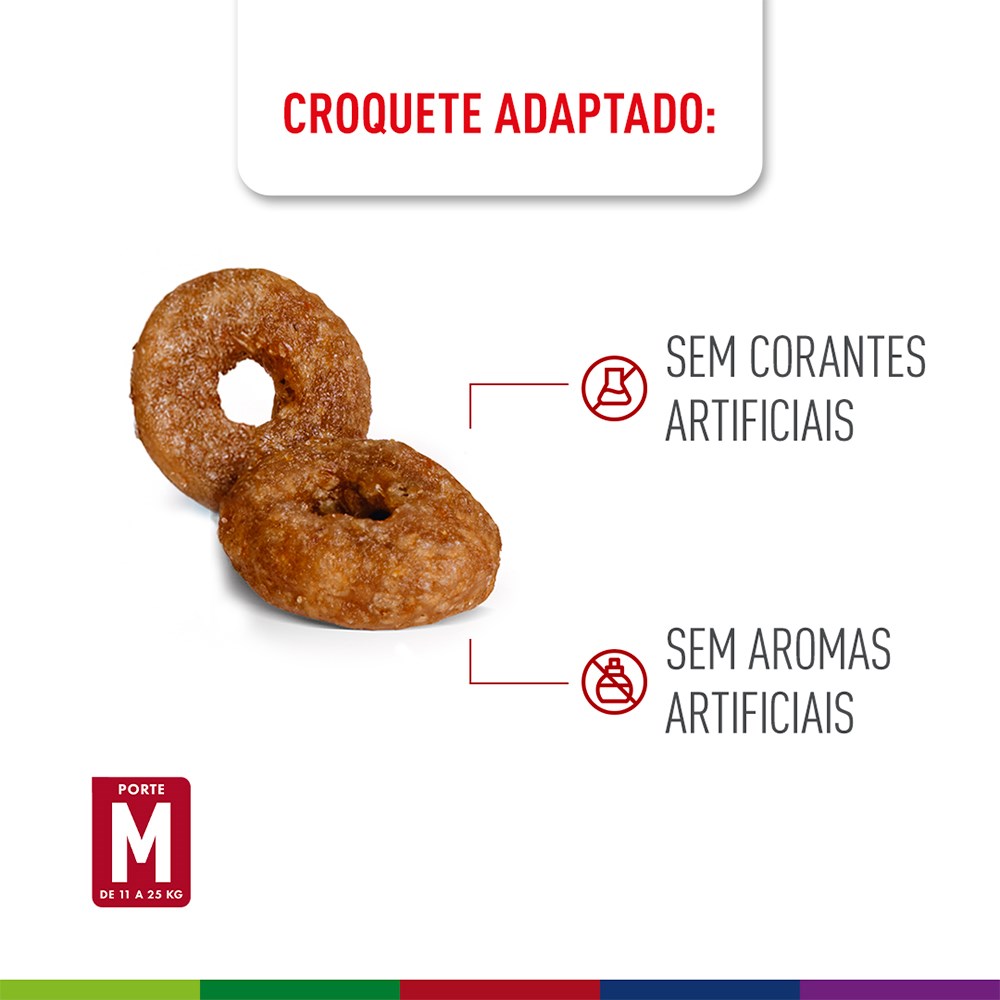 Ração Seca Royal Canin Medium Ageing 10 + para Cães Idosos de Porte Médio com 10 Anos ou mais 