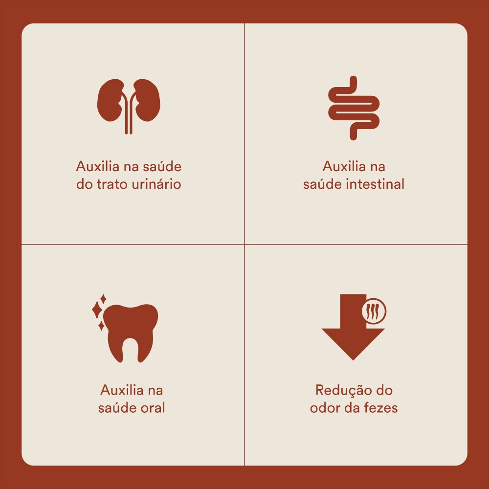 Ração Selections For Pet para Gatos Adultos sabor Carne