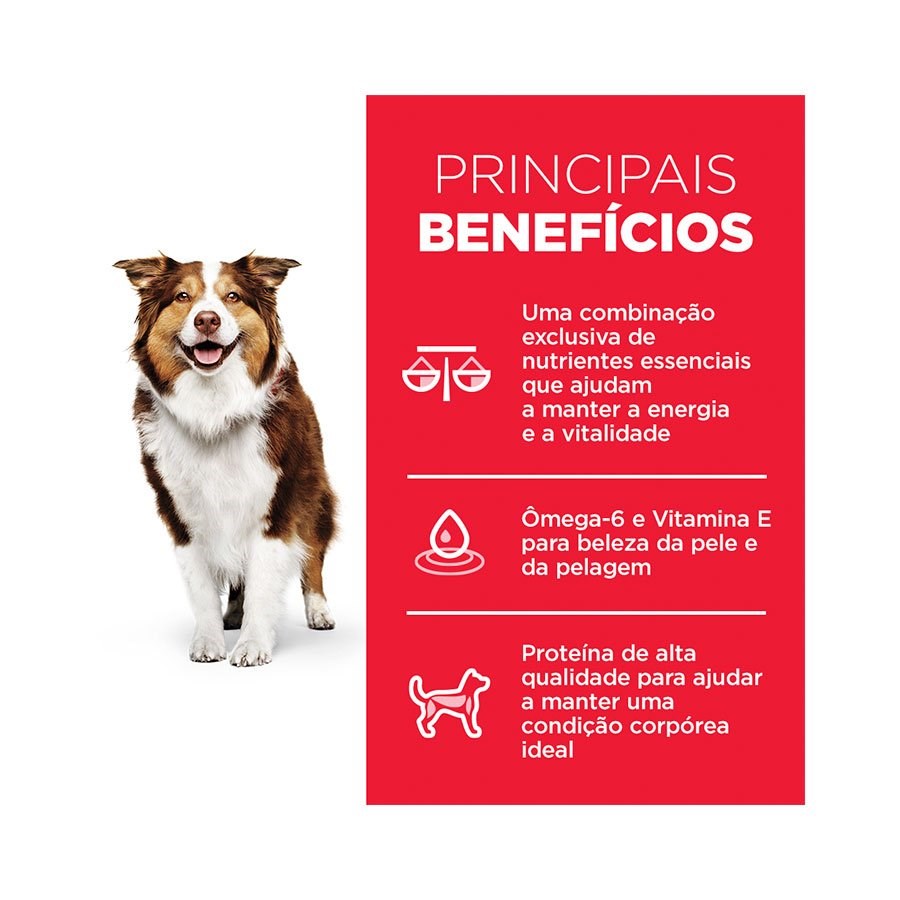 Ração Hill's Science Diet para Cães Adultos 7+