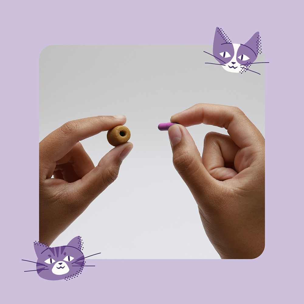 Disfarça Comprimido Happy Med para Gatos