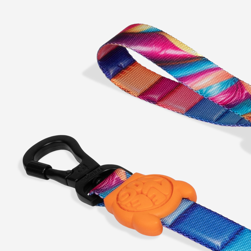 Guia para Cachorros H3D Bounce | Imagem 3