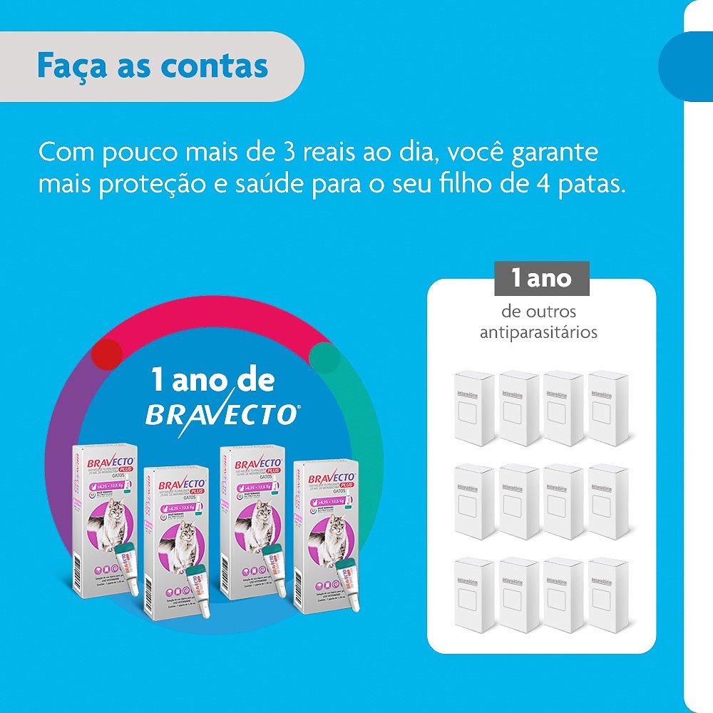 Antipulgas Bravecto Transdermal Plus para Gatos - 1 Pipeta de 500mg